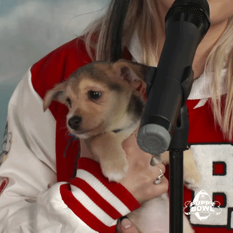 GIF by Puppy Bowl