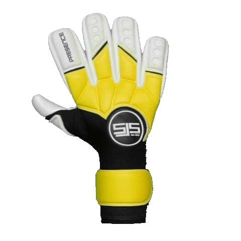 Sjs sales goalkeeper gloves