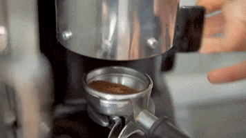 Drink Cafe GIF by Greenplace TV
