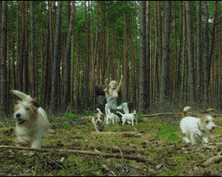 Dogs Margaret GIF by Gaja Hornby