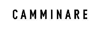 Logotipo Sticker by Camminare Calçados