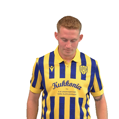 Dunaszerdahely Sticker by DAC 1904