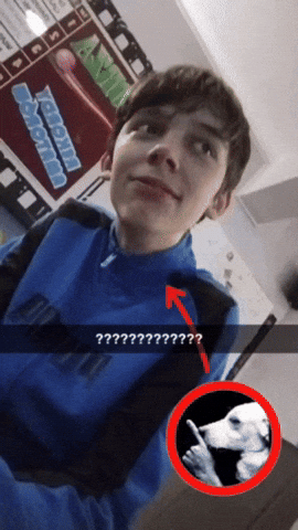 Animated GIF