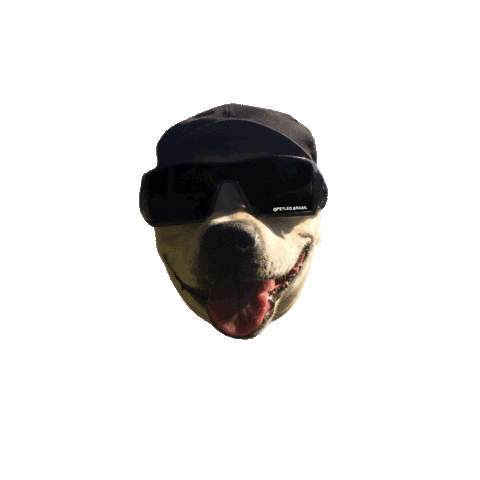 Style Pet Sticker by PETLED