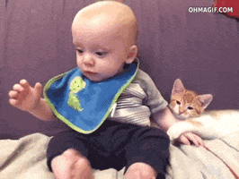 200.gif