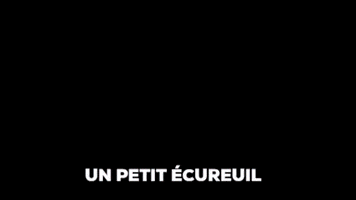 Palmashow GIF