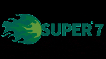 SCHWING Stetter India GIF