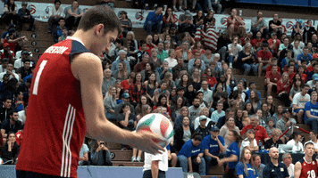 usavolleyball 1 muscles number one serve GIF