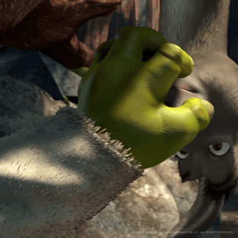 Shrek No GIF by DreamWorks Animation