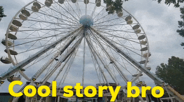 Ferris Wheel Cool Story Bro GIF by KreativCopy