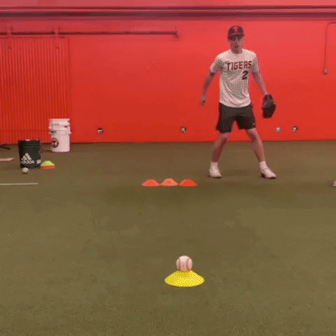 rawlingstigers baseball mlb training fielding GIF