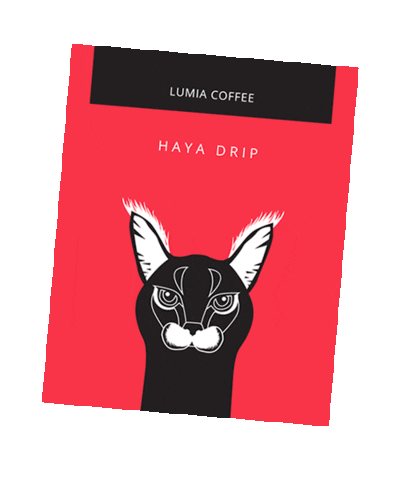 Lumia Coffee Sticker