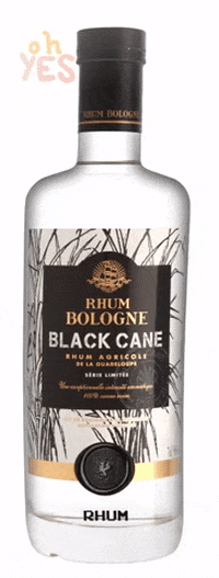 rhum_bologne rum rhum caribbeanrum blackcane GIF