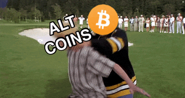 Meme Bitcoin GIF by :::Crypto Memes:::