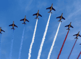 Reprenons Notre France GIF