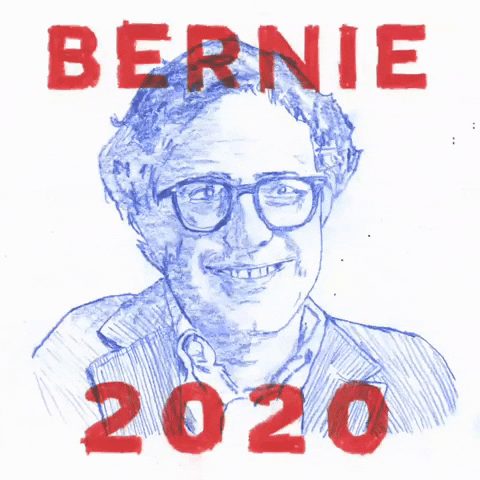 Bernie Sanders GIF by NYC-DSA