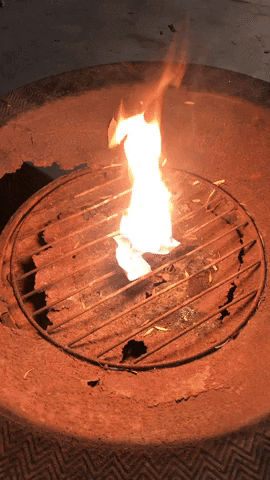 Bonfire Of My Termination Notice GIF