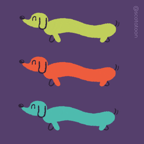 scotatoon dog loop pet dachshund GIF