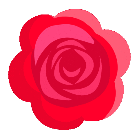 rose blooming gif