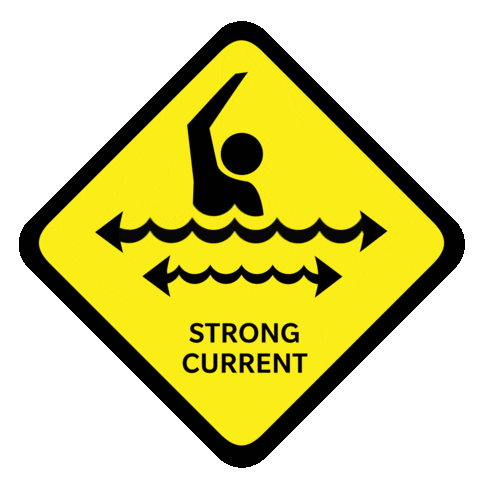 Surf Life Saving Queensland Sticker
