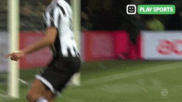 Heracles Almelo Football GIF by Play Sports
