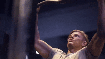 My Shredded Lifestyle GIF