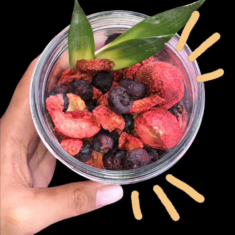 Lionaturamexico freezedried liofilizado fruta berries trending food GIF