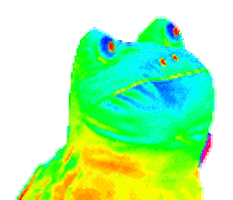  /><br /><br/><br /><img src=