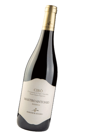 romanoeadamo Sticker