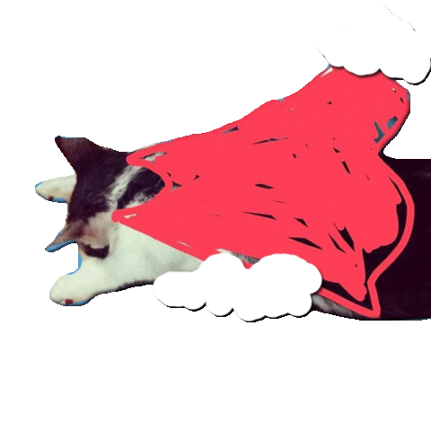 ingridkooks.com Sticker