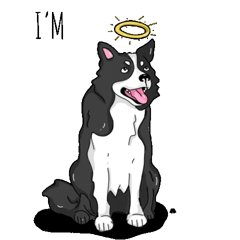 closhoesanddogs Sticker