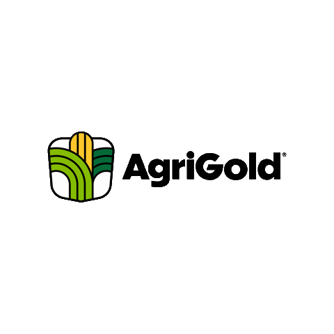 Corn Seed Sticker by AgriGold