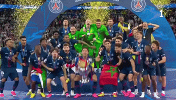 France Football GIF