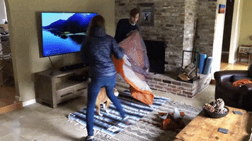 Optinside GIF