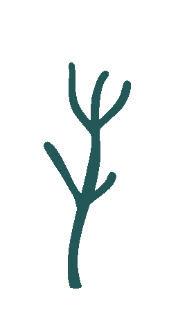 Sticker by Gather FCU