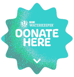 Summer I Donated Sticker by Miami Waterkeeper