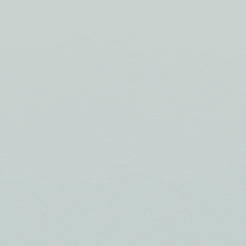 EisbaerSportmoden GIF