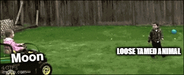 Moon GIF