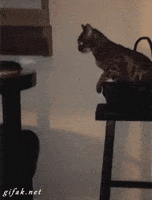 jumping falling down GIF