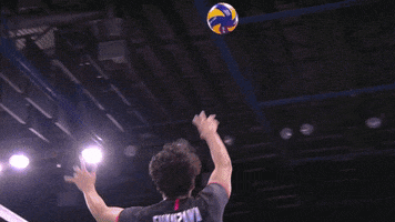 Japan Oops GIF by Volleyball World