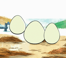eggs huevos GIF by Canticos World