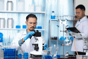 California Cannabis GIF