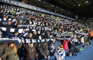 supporters wba GIF by West Bromwich Albion