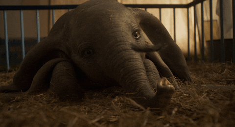 Elephant Dumbo GIF by Walt Disney Studios - Find & Share on GIPHY