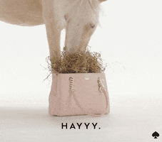 hello GIF by kate spade new york