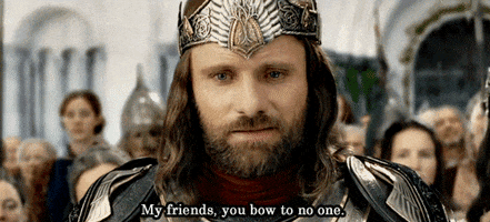 The Lord Of The Rings Request GIF by Maudit