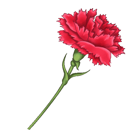 Победа Sticker