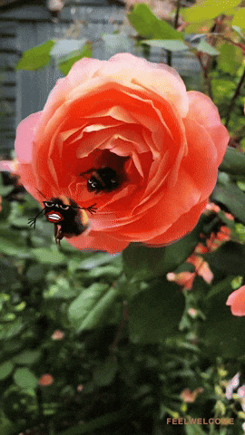 doodle real life doodles GIF