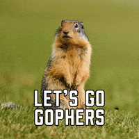 Football-cfb GIFs - Get the best GIF on GIPHY