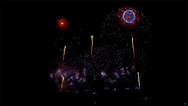 giphy firework3